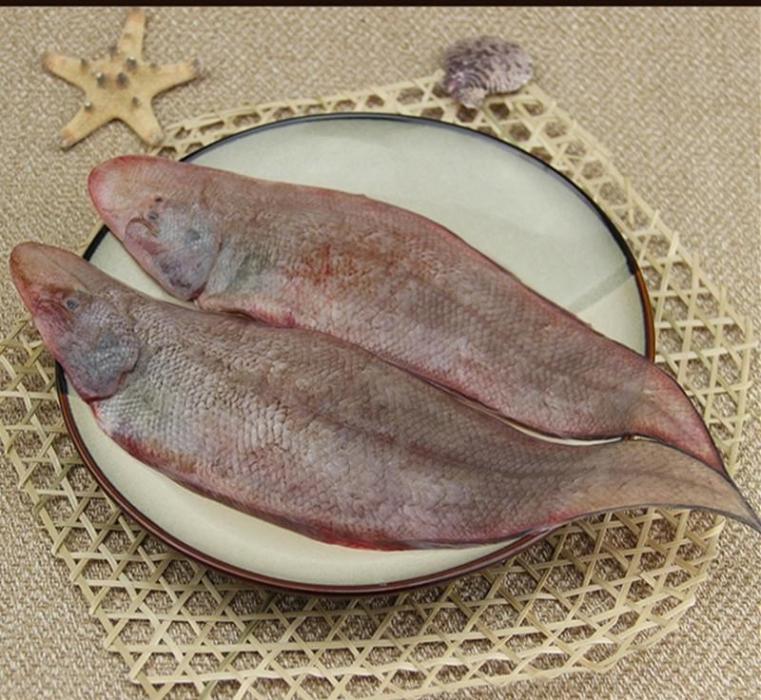 大鱗舌鰨 大鱗舌鰨