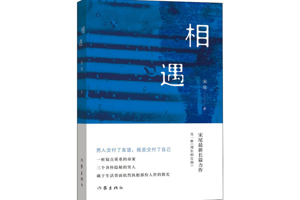 相遇(2020年作家出版社出版的圖書) 相遇(2020年作家出版社出版的圖書)