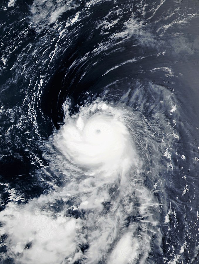 颱風榕樹 衛星雲圖