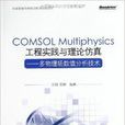 COMSOL Multiphysics工 COMSOL Multiphysics工