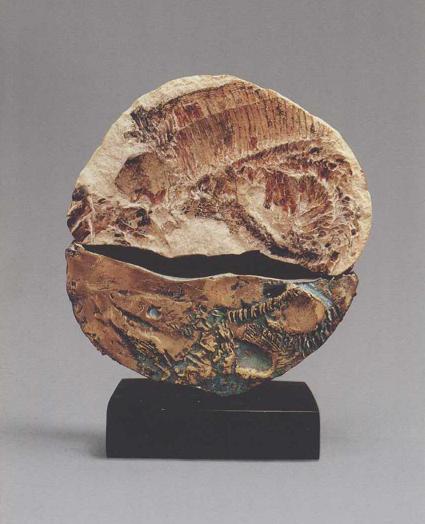 魚化石飾盤