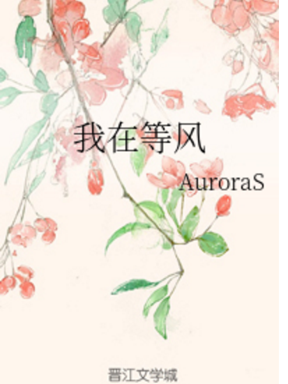 我在等風(AuroraS創作的衍生類輕小說) 我在等風(AuroraS創作的衍生類輕小說)