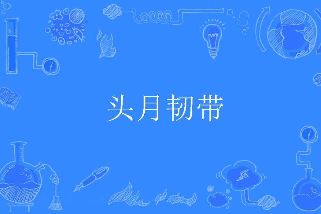 頭月韌帶 頭月韌帶