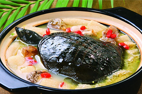 清燜甲魚湯 清燜甲魚湯