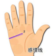 感情線(人體手掌上的三大主線之一)
