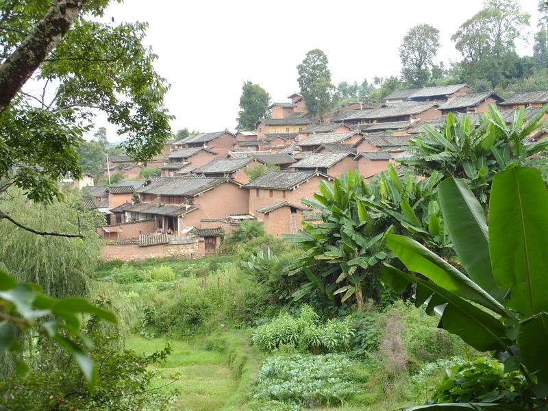金桂莊村