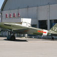 Il-10攻擊機(IL-10)