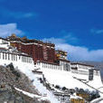 西藏民族區域自治政策