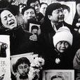 1995年10月12日 1995年10月12日