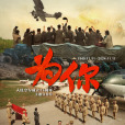 為你(中國空軍主題宣傳片) 為你(中國空軍主題宣傳片)