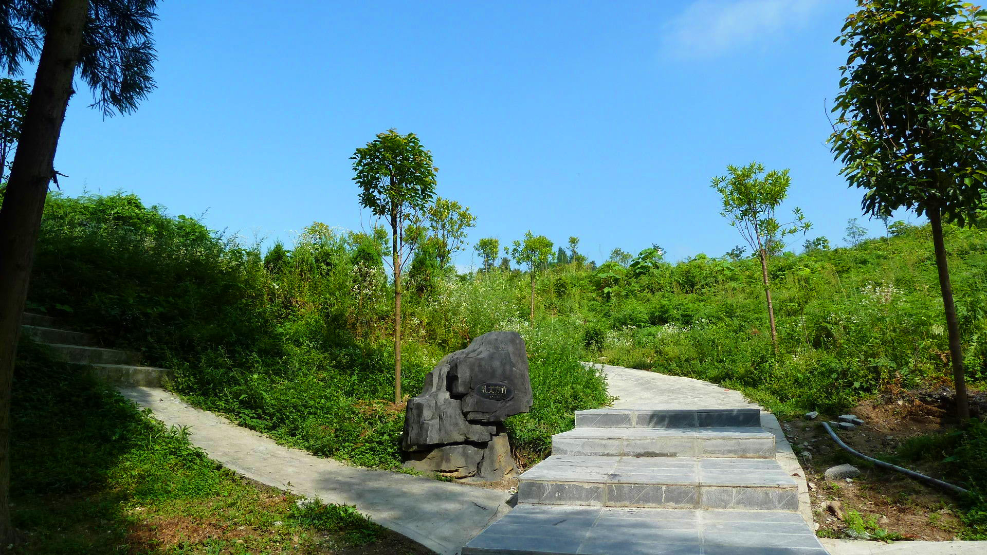 涼風埡森林公園