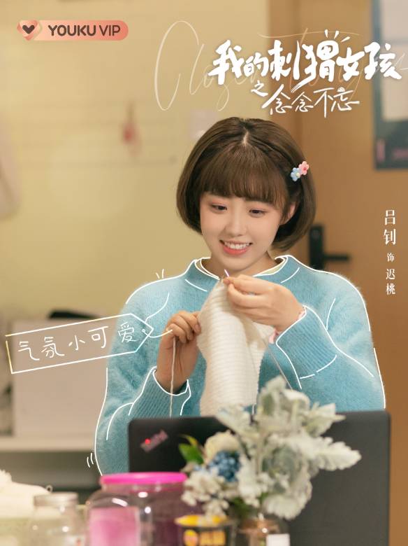 我的刺蝟女孩之念念不忘