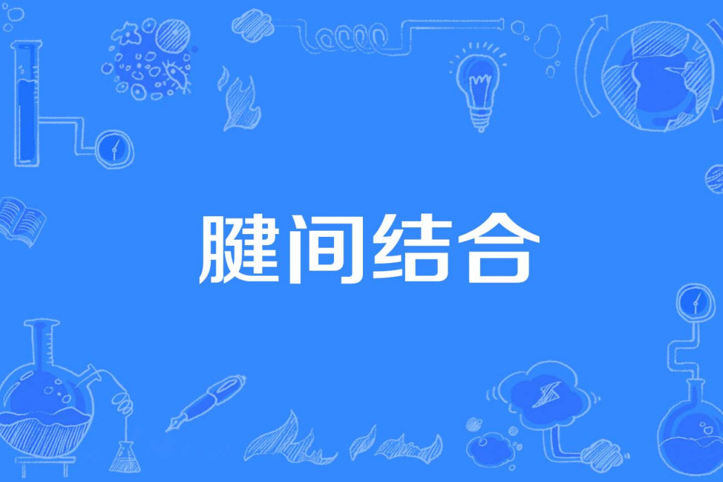 腱間結合 腱間結合