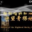 守望青稞地 守望青稞地