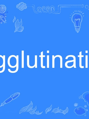 agglutination agglutination