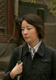 婚變(2008年馮遠征、陳小藝主演電視劇)