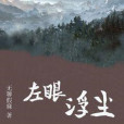 左眼浮塵 左眼浮塵