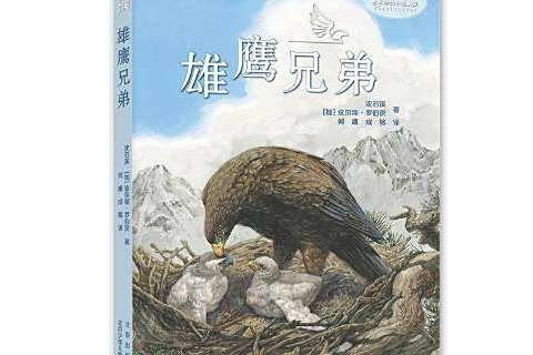 雄鷹兄弟 雄鷹兄弟