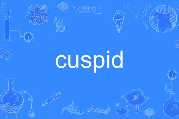 cuspid cuspid