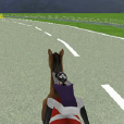 八倍3D賽馬 八倍3D賽馬