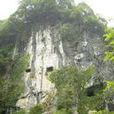 湯家溪村 湯家溪村