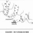 聖地亞哥河 聖地亞哥河