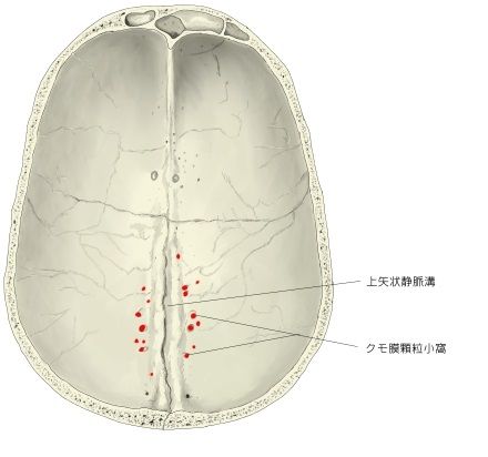 顆粒小凹 顆粒小凹
