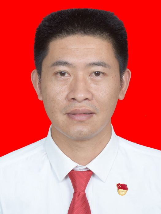 陳林(銅鼓縣工信局黨委委員、副局長) 陳林(銅鼓縣工信局黨委委員、副局長)