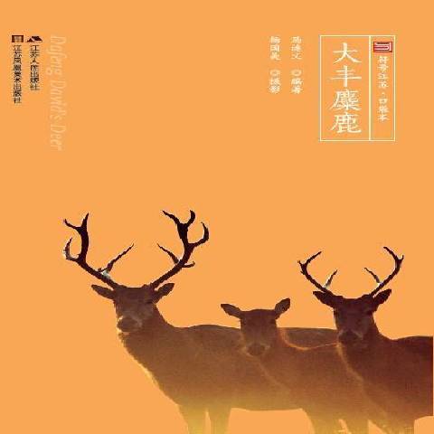 大豐麋鹿 大豐麋鹿