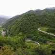 陝西化龍山國家級自然保護區