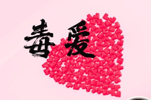 毒愛(第九杯茶創作的女性小說) 毒愛(第九杯茶創作的女性小說)