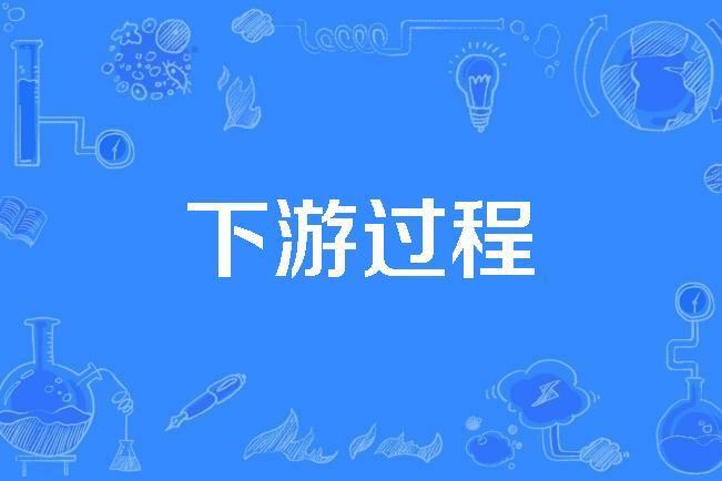 下游過程 下游過程