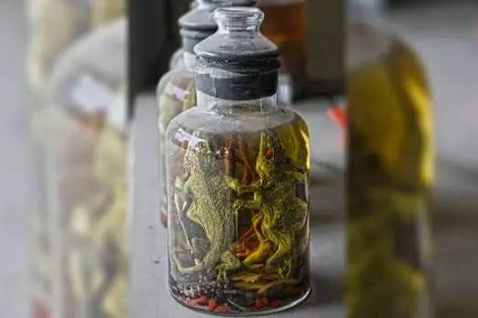 蜥蜴酒 蜥蜴酒
