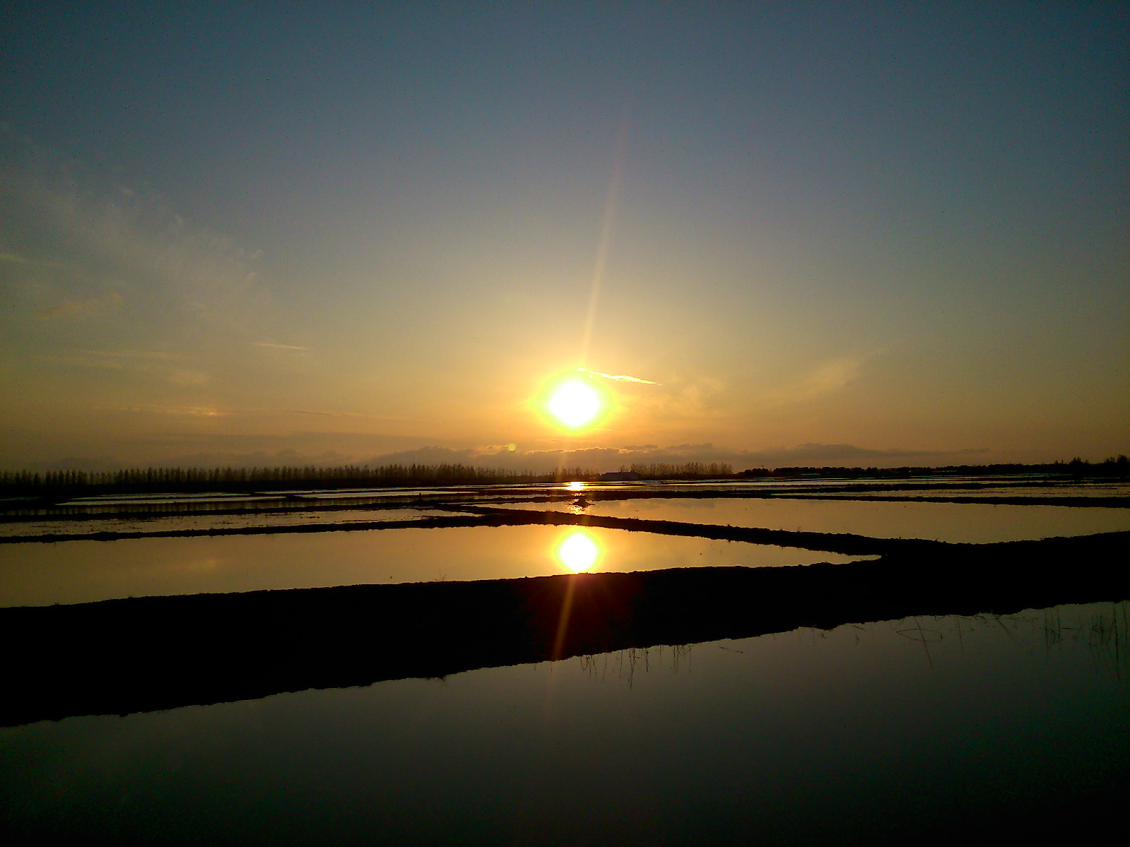 洪河農場