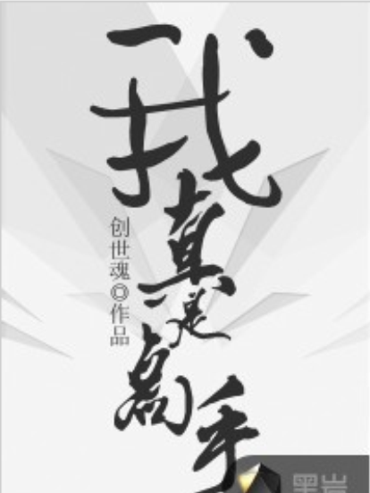 我真是高手 我真是高手