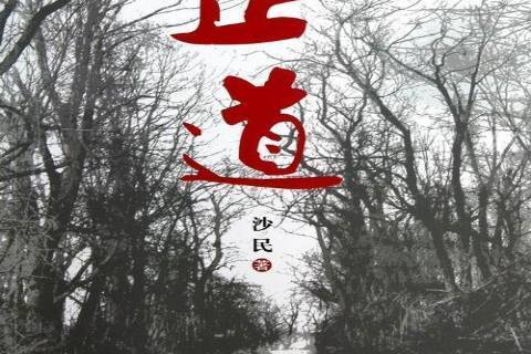 正道(2012年中國社會科學出版社出版的圖書) 正道(2012年中國社會科學出版社出版的圖書)