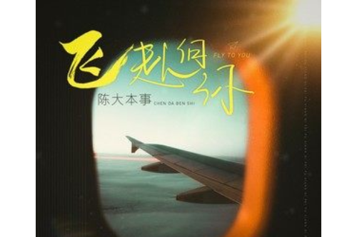 飛赴向你 飛赴向你
