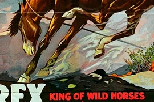 Plunging Hoofs Plunging Hoofs