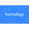 homology homology