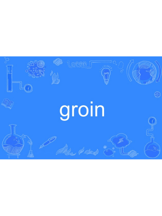 groin(英語單詞,指腹股溝或交叉拱。) groin(英語單詞,指腹股溝或交叉拱。)