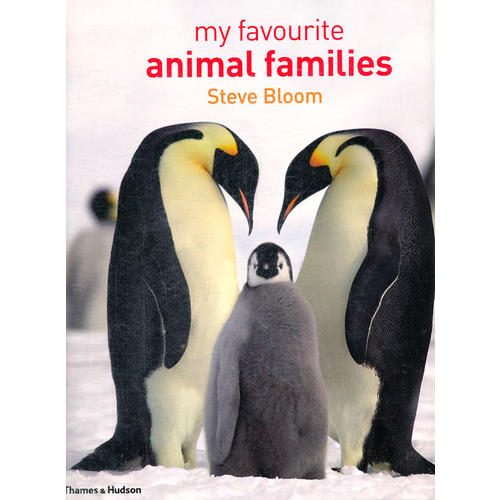My Favourite Animal Families 最可愛的動物家庭