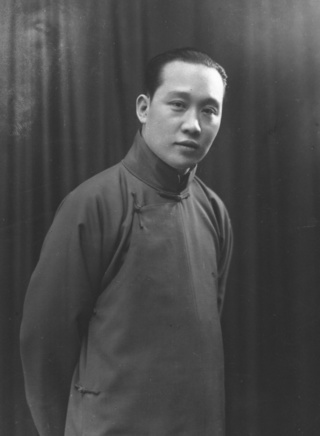 丁柳元 丁柳元