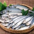 青條魚 青條魚