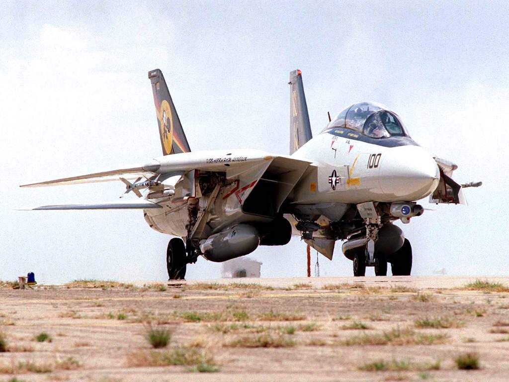 一架F-14D屬於VF-31“雄貓人”航空團