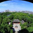 棠湖公園 棠湖公園
