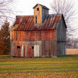 Shed Shed