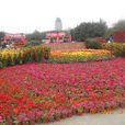 北湖公園(四川省南充市北湖公園) 北湖公園(四川省南充市北湖公園)