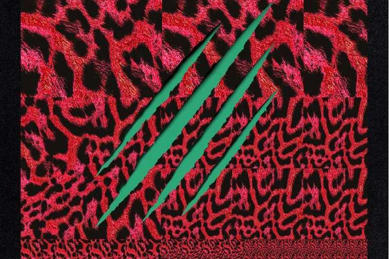 LEOPARD(金元植、頌樂演唱歌曲) LEOPARD(金元植、頌樂演唱歌曲)