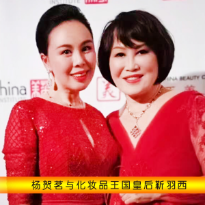 楊賀茗(實戰型商業演說家、中國式女總裁MBA商學堂創始人)