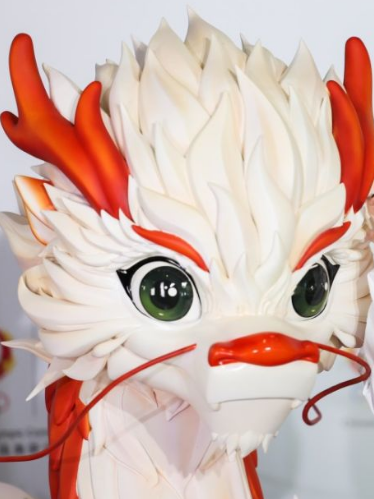 安踏靈龍